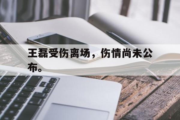 Leyu-王磊受伤离场，伤情尚未公布。
