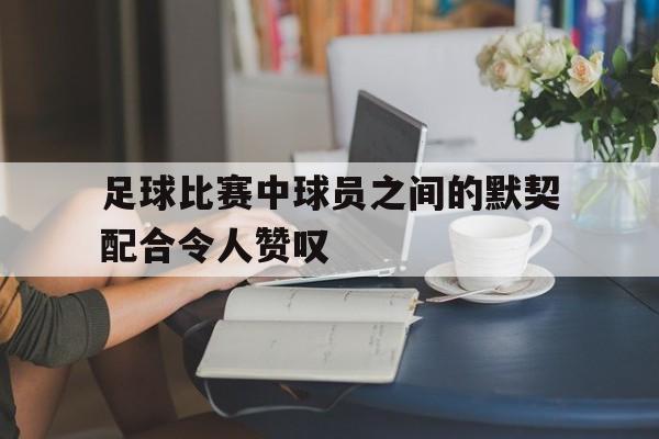 乐鱼-足球比赛中球员之间的默契配合令人赞叹